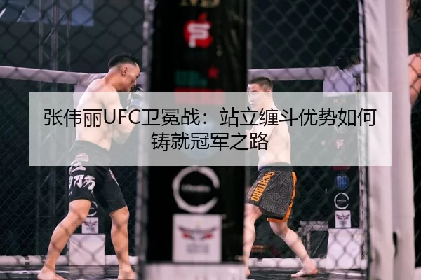 张伟丽UFC卫冕战：站立缠斗优势如何铸就冠军之路