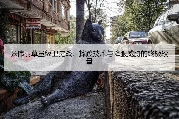 张伟丽草量级卫冕战：摔跤技术与降服威胁的终极较量